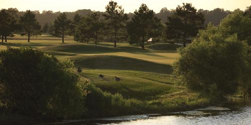 The Rookery Golf Club golf packages