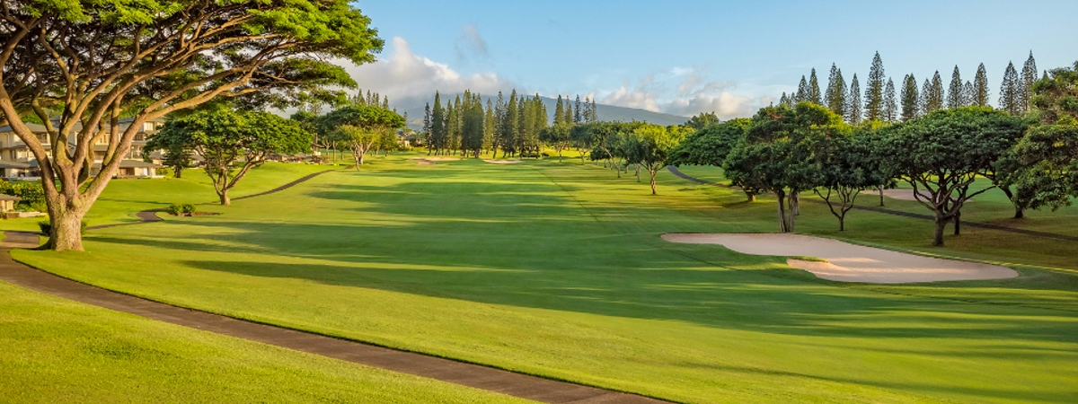 Hawaii golf packages